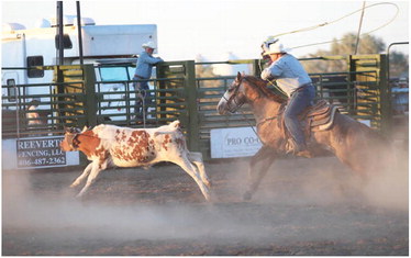 Mutton Bustin’