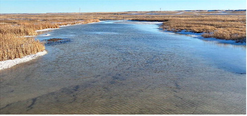 THE WEST FORK POPLAR RIVER ….